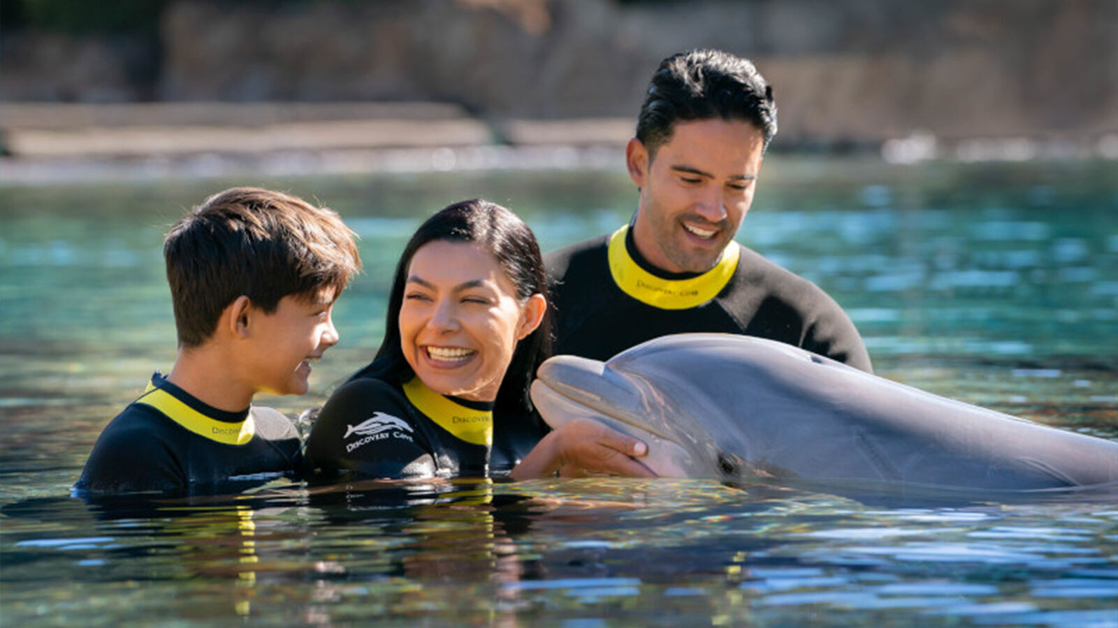 Discovery Cove Day Only - Swim Ticket