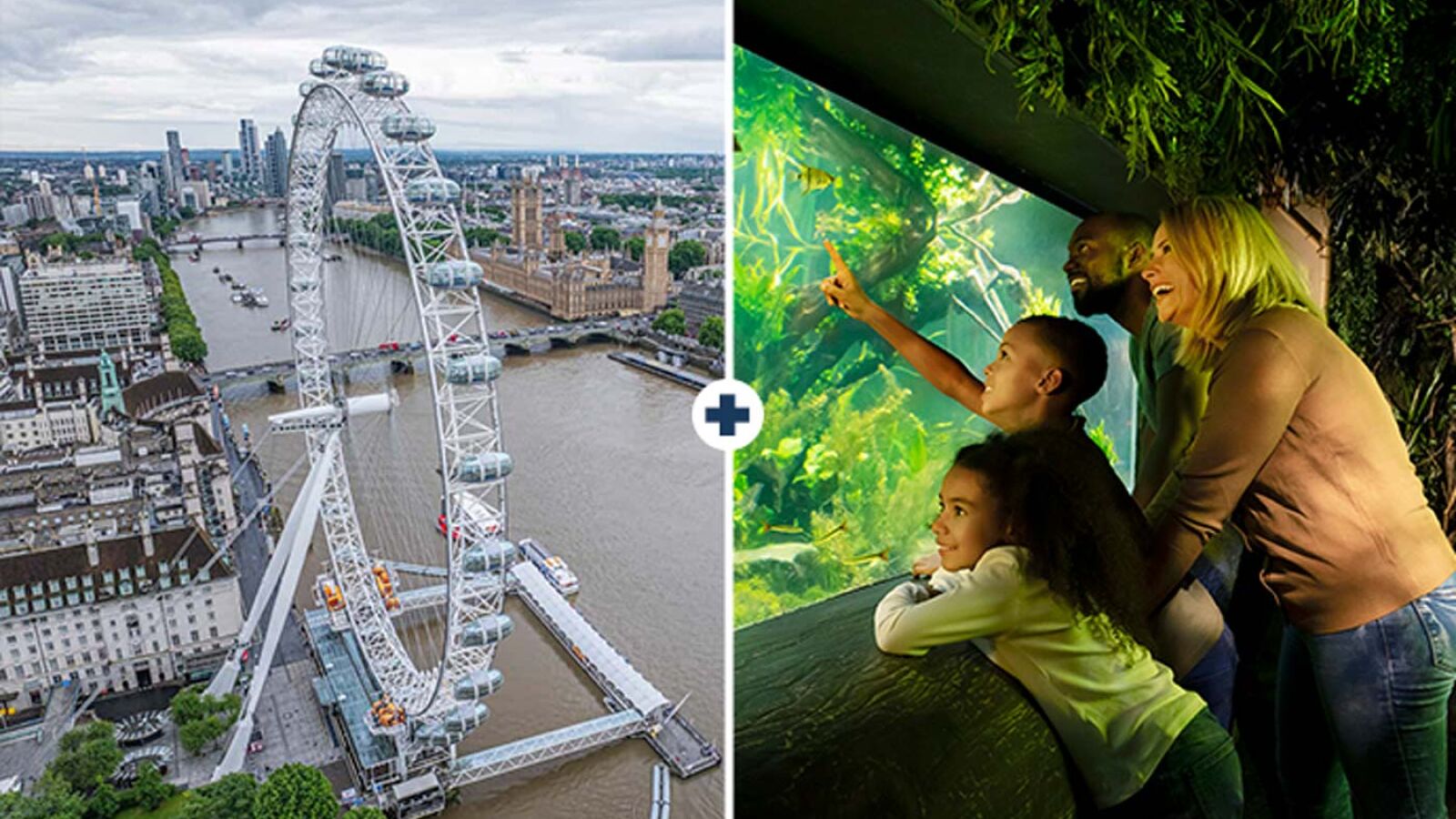 London Eye and SEA Life London Combo