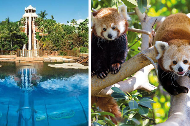 Siam Park & Loro Parque Twin Ticket