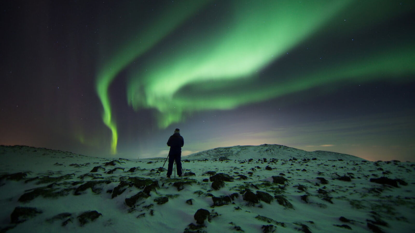 Northern Lights Tour (with Transfers)