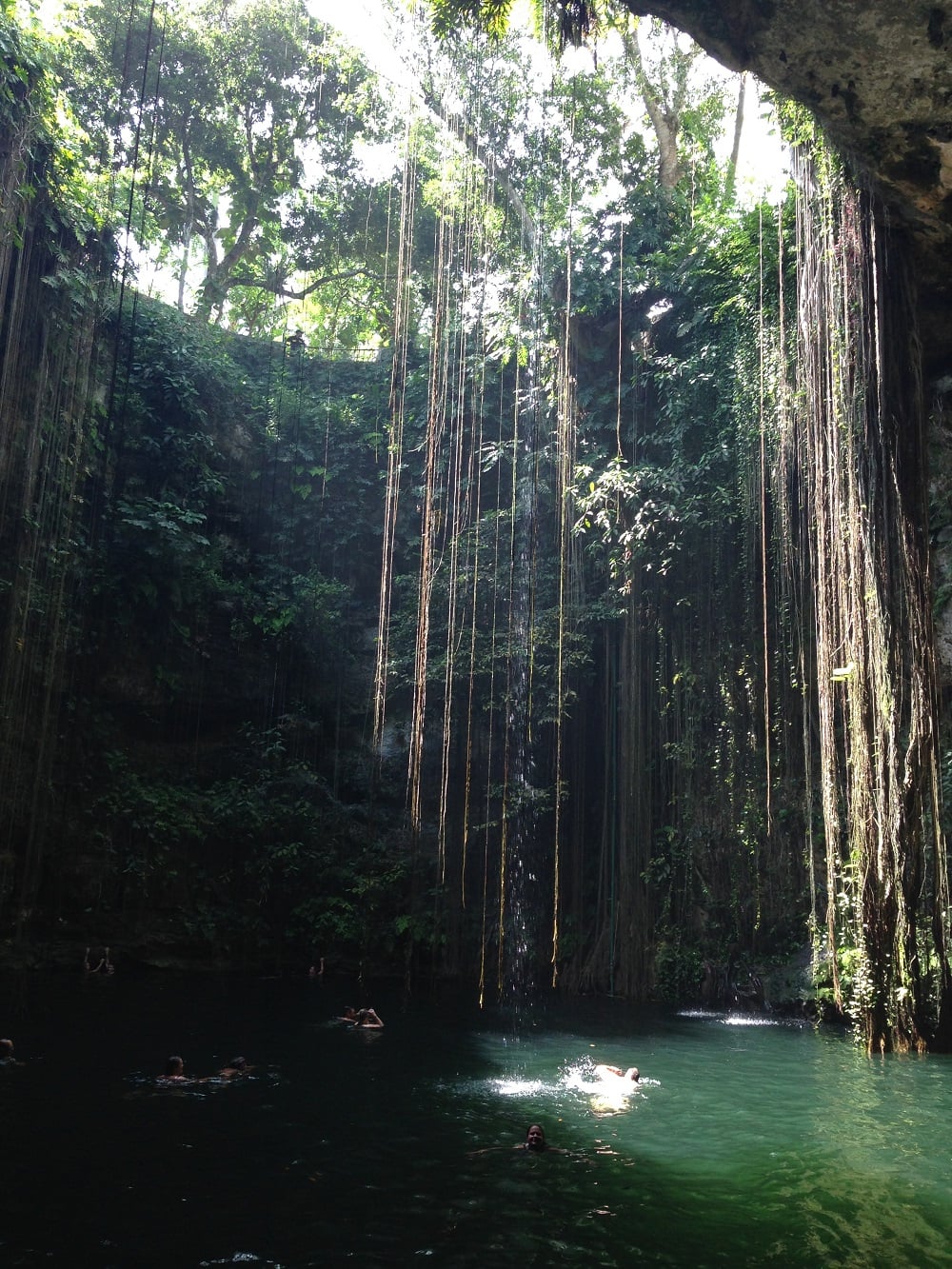 View of the Cenote from pool