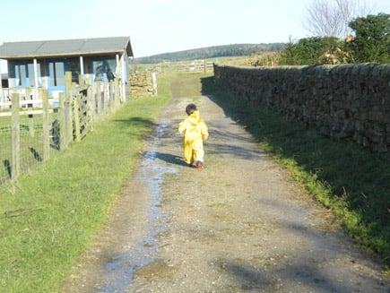 Kid on Farm