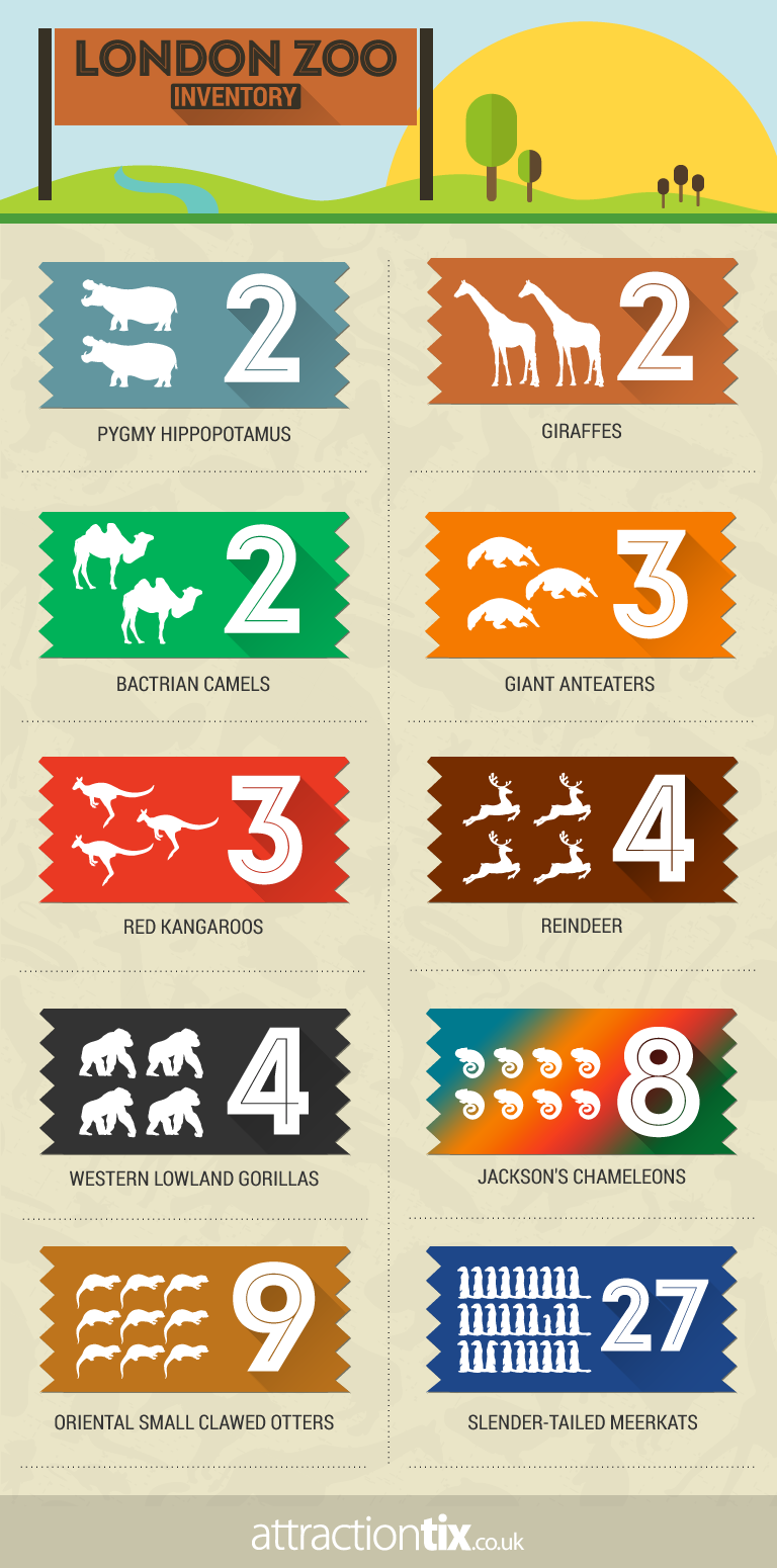 What Animals are at London Zoo?