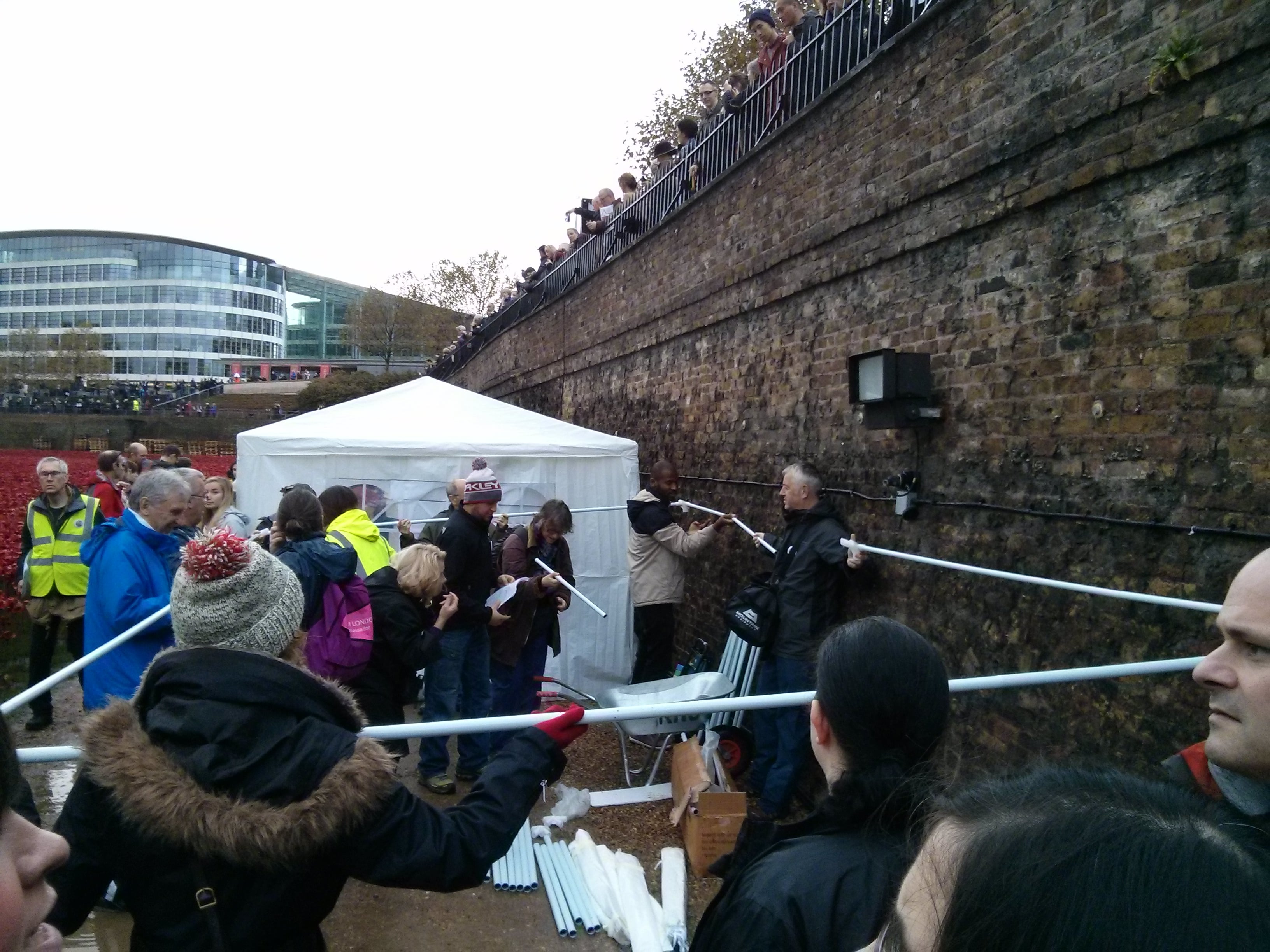 Tower poppies volunteers put up gazebo