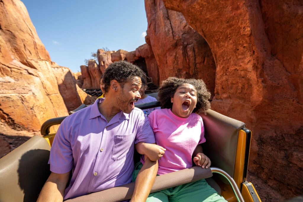 BIG BLACK FRIDAY SALE: Site-Wide Savings on Worldwide Attractions!