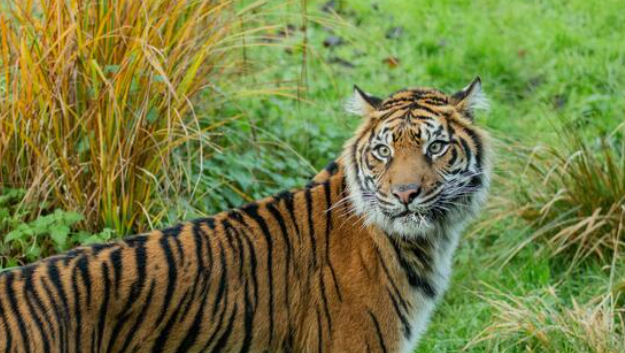 BIG BLACK FRIDAY SALE: Site-Wide Savings on Worldwide Attractions!