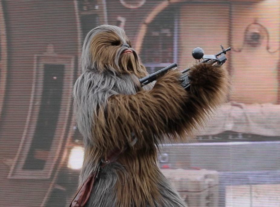 Chewie!