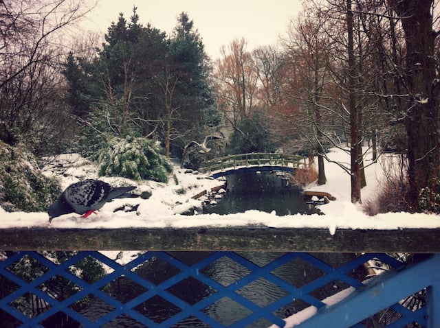 Regent's Park