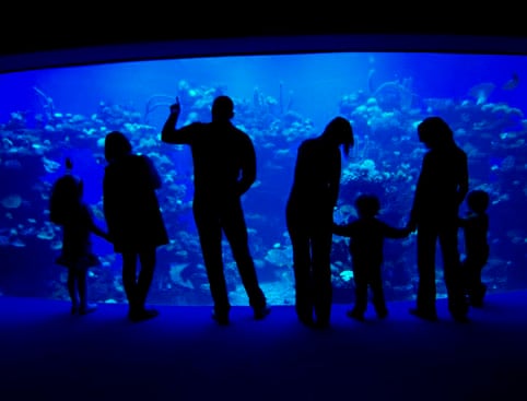 palma-aquarium-and-tour3