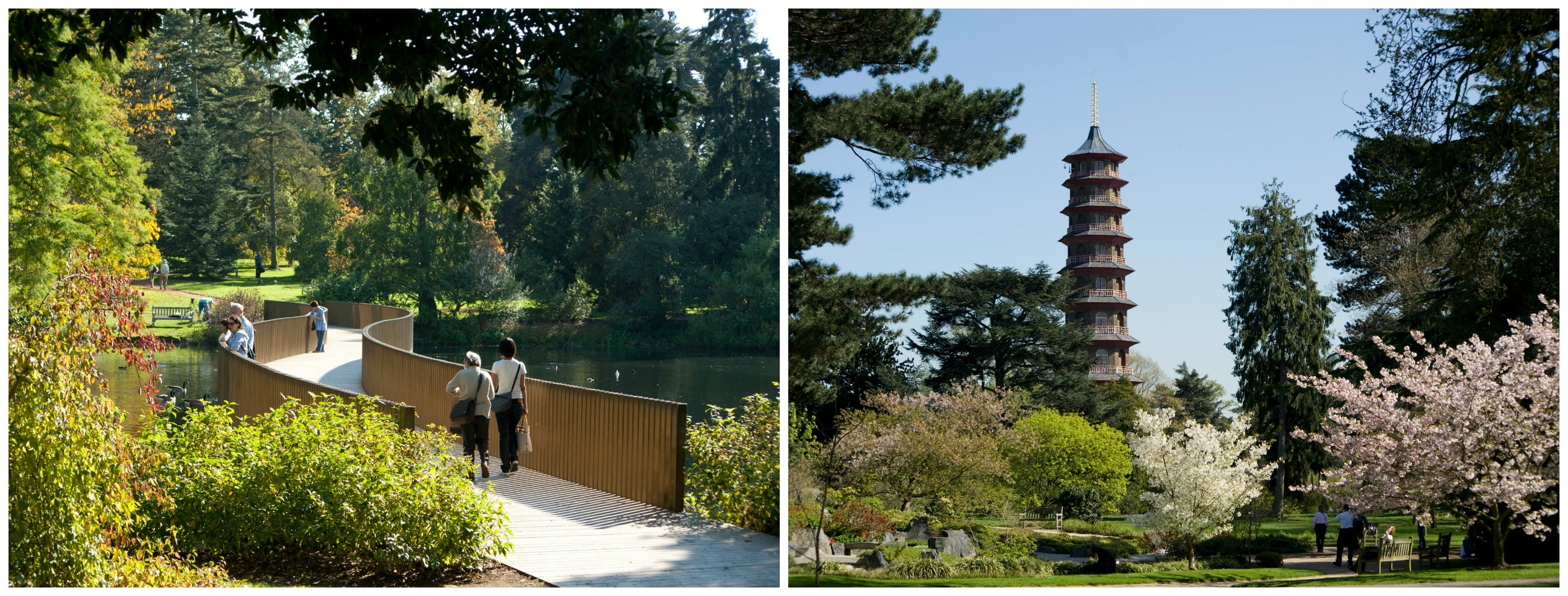Kew Gardens