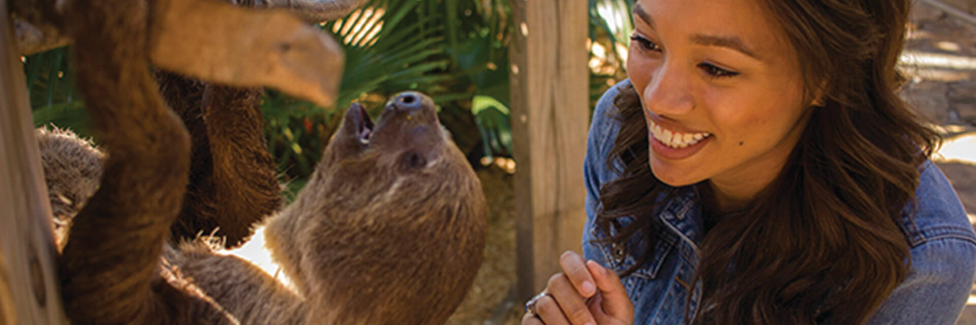Animal Experiences at Wild Florida Park