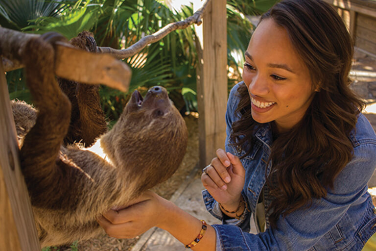 Animal Experiences at Wild Florida Park