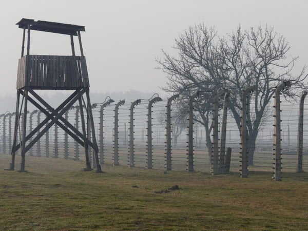 Auschwitz Fences