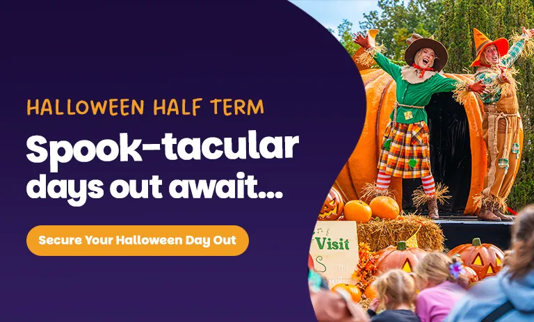 Halloween Half Term Activities
