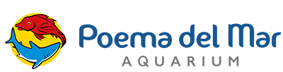 Poema Del Mar